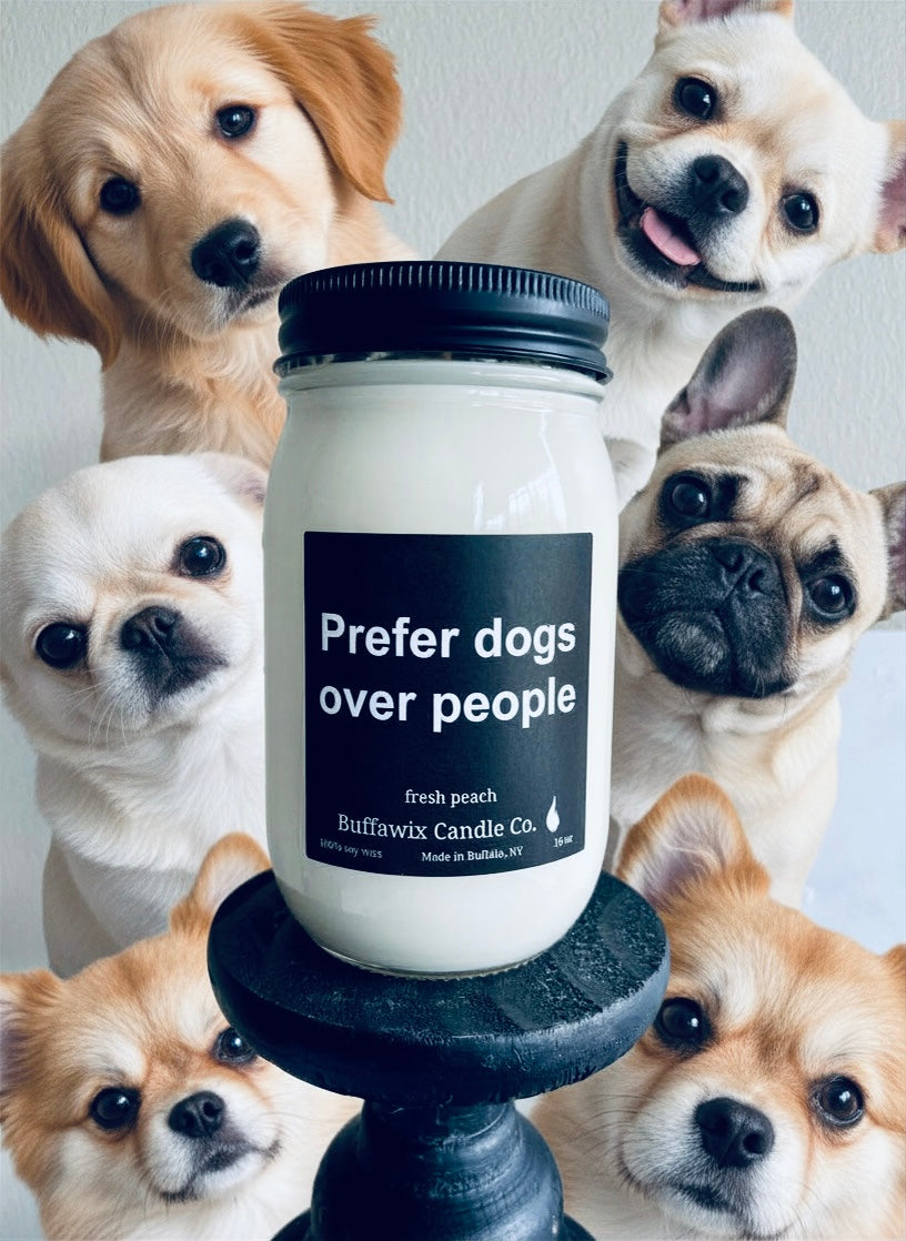 16oz prefer dogs over people pure soy candle