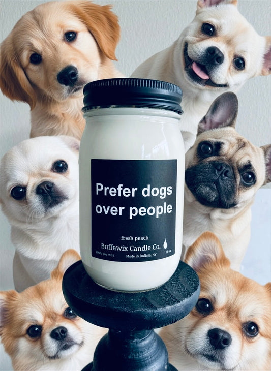 16oz prefer dogs over people pure soy candle