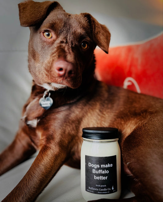 16oz Dogs make Buffalo better fresh peach scented pure soy candle