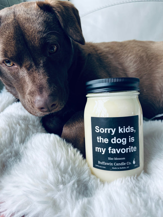 16oz Sorry kids, the dog is my favorite pure soy candle