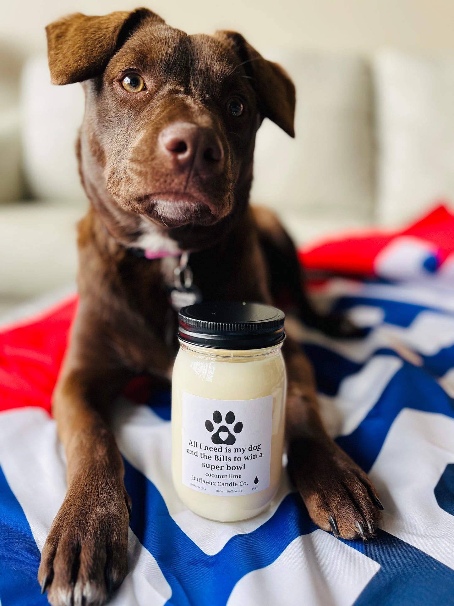 16oz coconut lime Dog/Bills pure soy candle